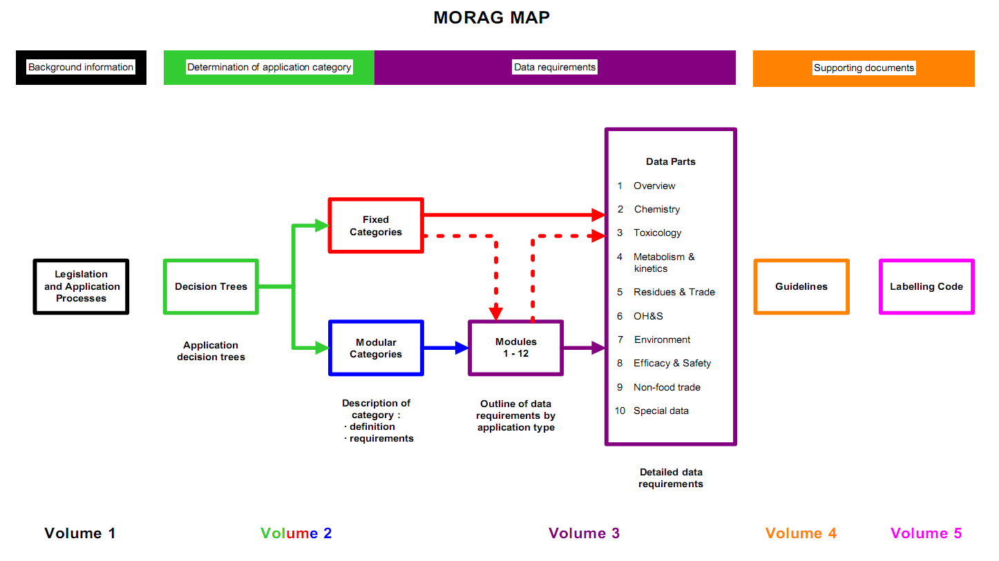 Path for MORAG decision making